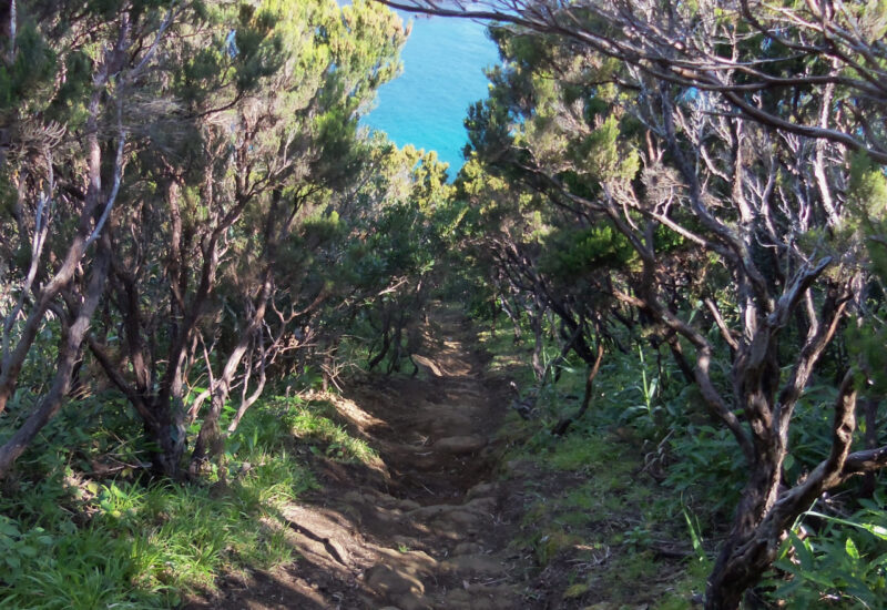 Abstieg zum Porto do Pim