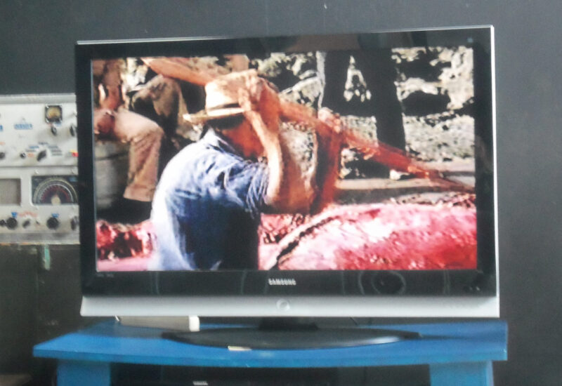 Video-Szene Walverarbeitung