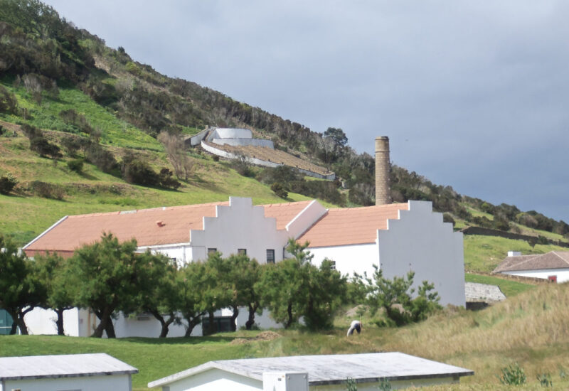 Wal-Verarbeitungsfabrik